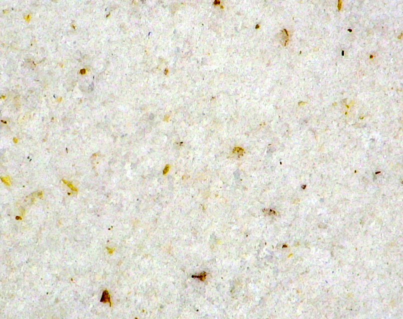 Sample of flour magnified with a digital microscope