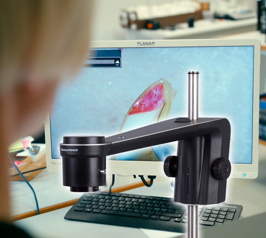 Seed analyst using a digital microscope for seed viability testing