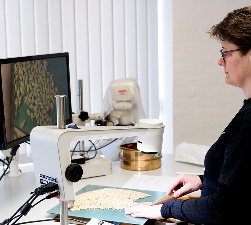 Woman using a digital microscope within seed technology