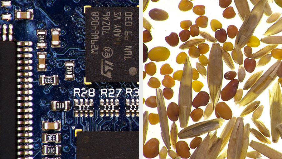 Photo split in two showing a magnified PCB as well as magnified grass seed